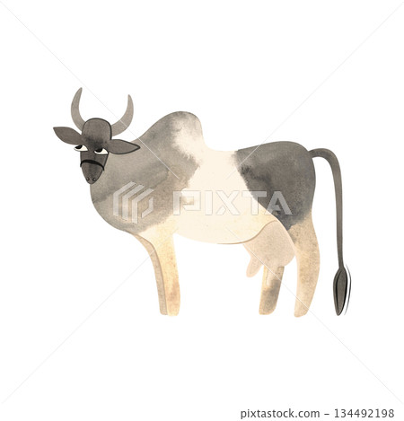 Malvi or Malavi, also Manthani or Mahadeopuri, is breed of zebu cattle, Indian Cow. Character for packaging, children's book and encyclopedia. Isolated watercolor illustration in retro style. Clipart. 134492198