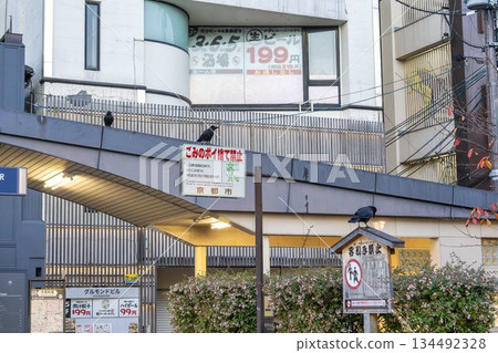 Early morning Shijo Kobashi intersection, crows, Kyoto City, Kyoto Prefecture 134492328
