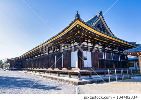 京都府京都市蓮華院（三十三間堂）正殿的深秋景色 134492334