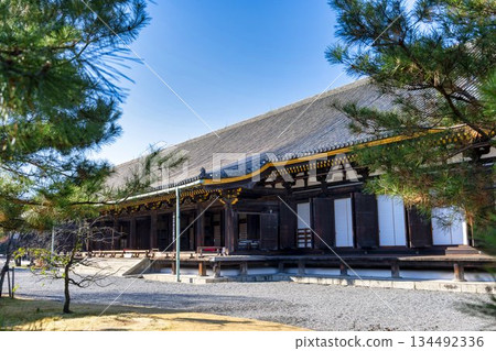 京都府京都市蓮華院（三十三間堂）正殿的深秋景色 134492336