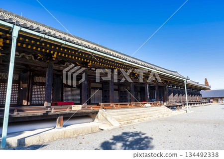 京都府京都市蓮華院(三十三間堂)正殿的深秋景色 京都府京都市蓮華院(三十三間堂)正殿的深秋景色 134492338