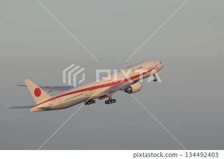 日本政府飛機 134492403