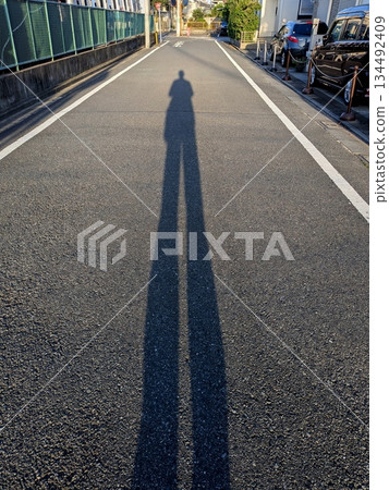 Long shadows cast by the morning sun Long shadows cast by the morning sun 134492409