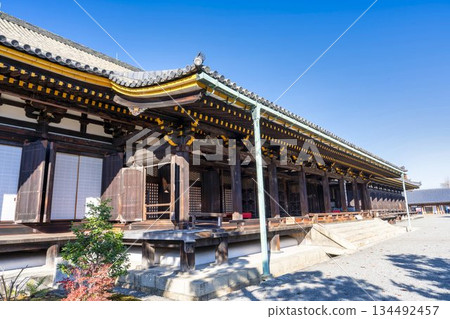 Late autumn at Rengeo-in Temple (Sanjusangendo Temple), main hall, Kyoto City, Kyoto Prefecture 134492457