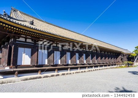 京都府京都市蓮華院（三十三間堂）正殿的深秋景色 134492458