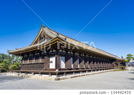 京都府京都市蓮華院（三十三間堂）正殿的深秋景色 134492459
