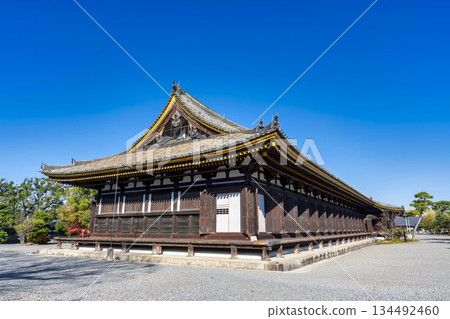 京都府京都市蓮華院(三十三間堂)正殿的深秋景色 京都府京都市蓮華院(三十三間堂)正殿的深秋景色 134492460