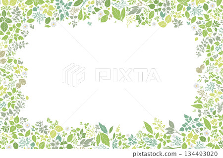 草本圖案框架 134493020