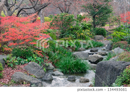 風景與秋天的落葉 134493081