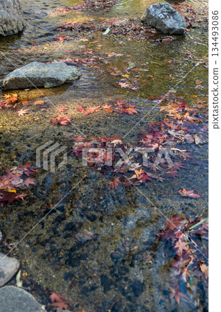 秋天的葉子漂浮在水面上 134493086
