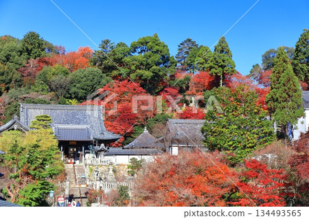 【京都】橫國寺(柳谷觀音寺)晴空萬裡,秋葉飄落。 【京都】橫國寺(柳谷觀音寺)晴空萬裡,秋葉飄落。 134493565