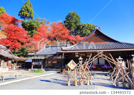 【京都府】晴天時，柳谷觀音寺的阿彌陀殿和秋葉 134493572