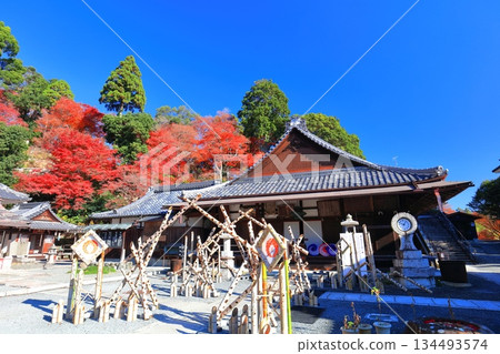 [Kyoto Prefecture] Amida Hall and autumn leaves at Yanagidani Kannon Temple on a clear day 134493574