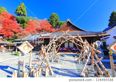 [Kyoto Prefecture] Amida Hall and autumn leaves at Yanagidani Kannon Temple on a clear day 134493588