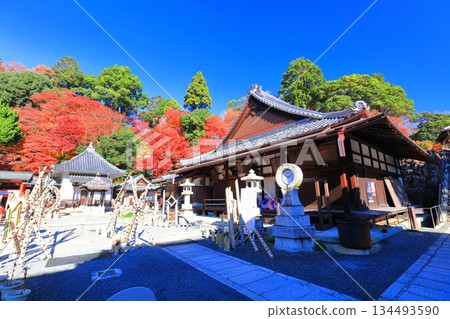 【京都府】晴天時，柳谷觀音寺的阿彌陀殿和秋葉 134493590