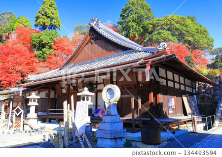[Kyoto Prefecture] Amida Hall and autumn leaves at Yanagidani Kannon Temple on a clear day 134493594