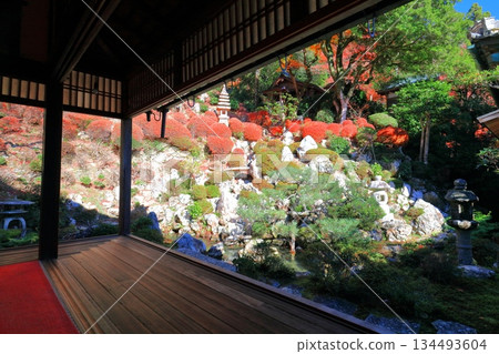 【京都】晴天時柳谷觀音寺淨土園的秋葉 【京都】晴天時柳谷觀音寺淨土園的秋葉 134493604