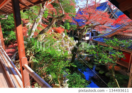 [Kyoto Prefecture] Autumn leaves at the Kamishoin of Yanagidani Kannon Temple on a clear day 134493611