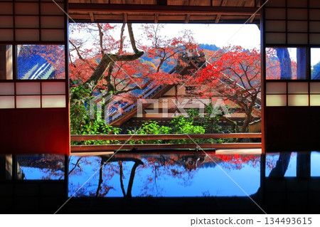 【京都府】晴天時柳谷觀音寺上聖院的秋葉 【京都府】晴天時柳谷觀音寺上聖院的秋葉 134493615