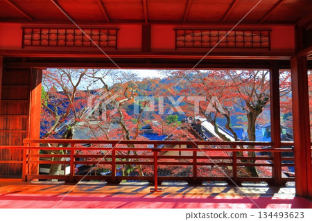 [Kyoto Prefecture] Autumn leaves at the Kamishoin of Yanagidani Kannon Temple on a clear day 134493623