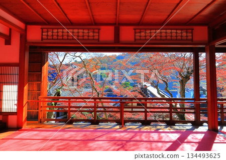 [Kyoto Prefecture] Autumn leaves at the Kamishoin of Yanagidani Kannon Temple on a clear day 134493625