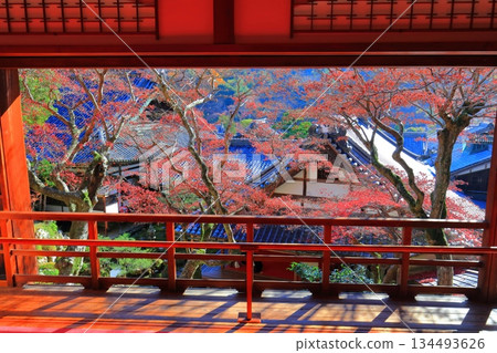[Kyoto Prefecture] Autumn leaves at the Kamishoin of Yanagidani Kannon Temple on a clear day 134493626