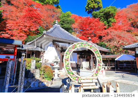 【京都府】晴天時柳谷觀音寺的護摩殿和秋葉 【京都府】晴天時柳谷觀音寺的護摩殿和秋葉 134493654