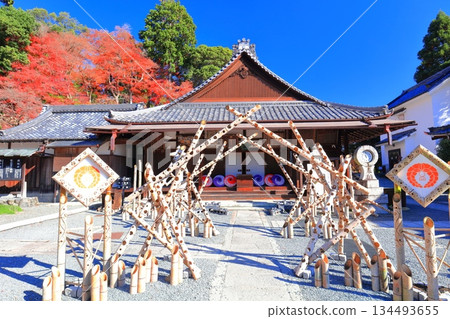 [Kyoto Prefecture] Amida Hall and autumn leaves at Yanagidani Kannon Temple on a clear day 134493655