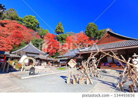 【京都府】晴天時,柳谷觀音寺的阿彌陀殿和秋葉 【京都府】晴天時,柳谷觀音寺的阿彌陀殿和秋葉 134493656