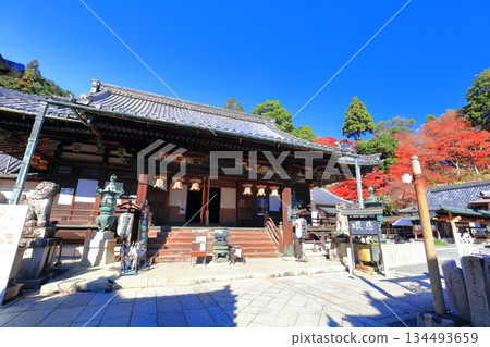 [Kyoto Prefecture] The main hall and autumn leaves of Yanagidani Kannon Temple on a clear day 134493659