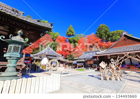 [Kyoto Prefecture] Amida Hall and autumn leaves at Yanagidani Kannon Temple on a clear day 134493660