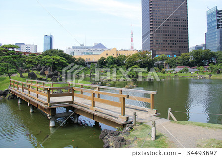 舊芝離宮庭園池塘上的木橋和庭園景色 舊芝離宮庭園池塘上的木橋和庭園景色 134493697