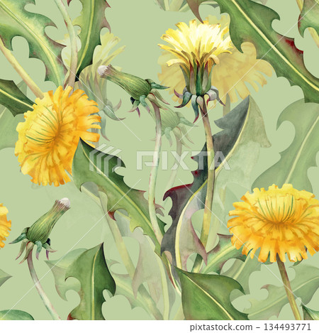 Watercolor seamless pattern with yellow dandelion flowers, buds and green leaves on a light green background. A botanical seamless template with realistic wildflowers for wallpaper, packaging Watercolor seamless pattern with yellow dandelion flowers, buds and green leaves on a light green background. A botanical seamless template with realistic wildflowers for wallpaper, packaging 134493771