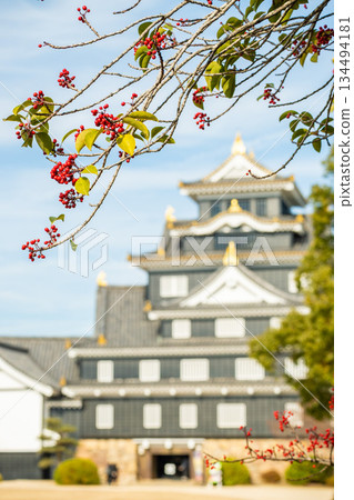 岡山縣（12月）【城堡】岡山縣岡山市岡山城之旅：以其獨特的黑色城牆而聞名的「烏鴉城」。 134494181