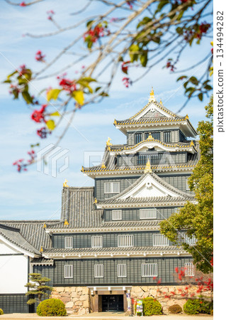 Okayama Prefecture (December) [Castles] Tour Okayama Castle in Okayama City, Okayama Prefecture: Crow Castle with its distinctive black walls 134494282