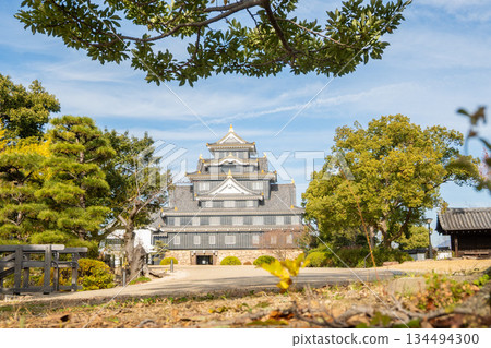 岡山縣（12月）【城堡】岡山縣岡山市岡山城之旅：以其獨特的黑色城牆而聞名的「烏鴉城」。 134494300