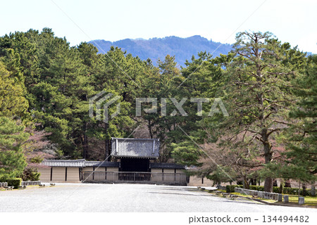 大宮宮正門 大宮宮正門 134494482