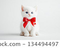 White kitten with blue eyes wearing red bow 134494497