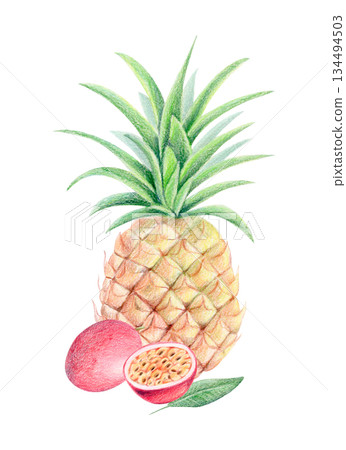 Pineapple and passion fruit summer exotic composition, watercolor and colored pencil isolated tropical fruit illustration. Pineapple and passion fruit summer exotic composition, watercolor and colored pencil isolated tropical fruit illustration. 134494503