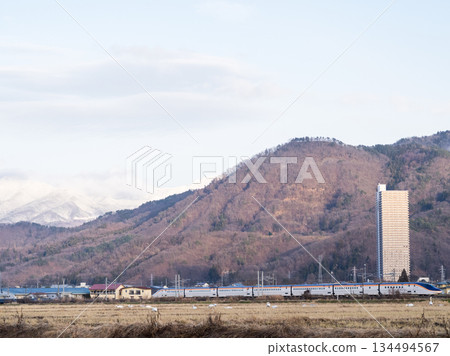 【山形線】新幹線翼號列車穿過天鵝出沒的鄉村景色 134494567
