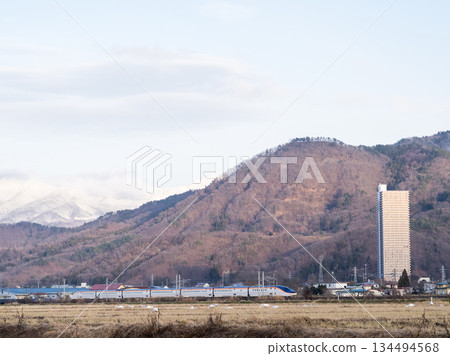 【山形線】新幹線翼號列車穿過天鵝出沒的鄉村景色 134494568