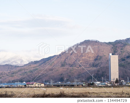 [Yamagata Line] A local train running through a rural landscape with swans 134494729