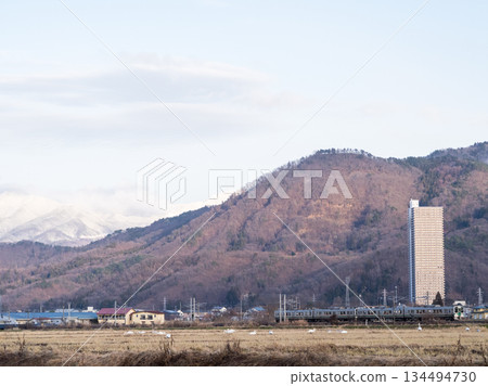 [Yamagata Line] A local train running through a rural landscape with swans 134494730
