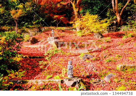 一盞石燈籠埋在秋葉的地毯裡 134494738