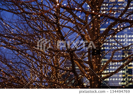 Beautiful winter illuminations around Tokyo Station and Marunouchi Beautiful winter illuminations around Tokyo Station and Marunouchi 134494769