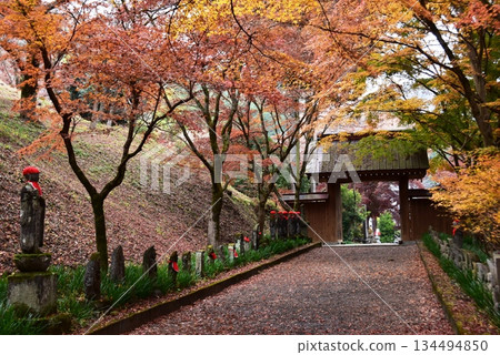 Sano City: Autumn leaves on the approach to Konzo-in Temple and the temple gate Sano City: Autumn leaves on the approach to Konzo-in Temple and the temple gate 134494850