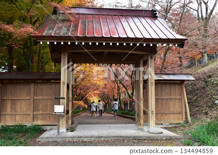 Sano City: Konzoin Temple Gate and Autumn Leaves Sano City: Konzoin Temple Gate and Autumn Leaves 134494859