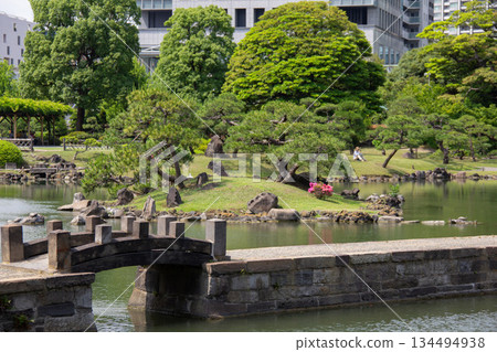 The stone bridge and pond of the Kyu-Shiba Rikyu Gardens, with azaleas shining against the greenery of the pine trees The stone bridge and pond of the Kyu-Shiba Rikyu Gardens, with azaleas shining against the greenery of the pine trees 134494938