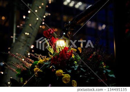 A beautiful winter performance of lights in the Marunouchi area of Tokyo Station 134495135