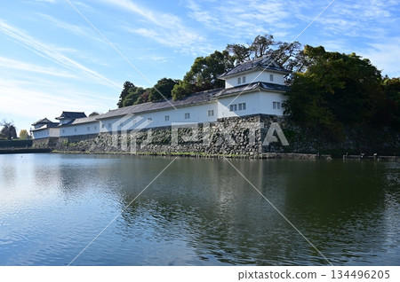 澤口多門塔和護城河（彥根城） 134496205